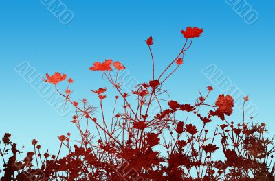 floral style textures