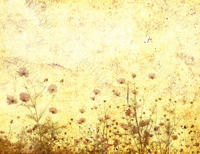 old-fashioned flower