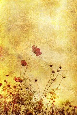 old-fashioned flower