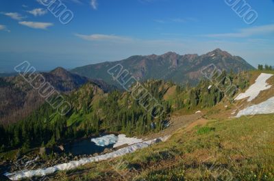 Mountain Meadow