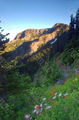 in the mountains