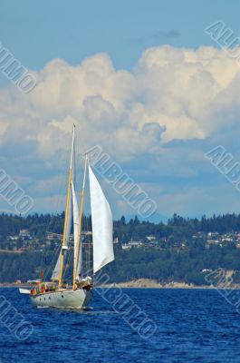 sailing