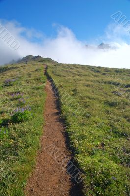 hiking trail in the mountains