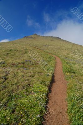 hiking trail in the mountains