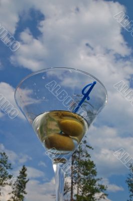 Martini against the sky