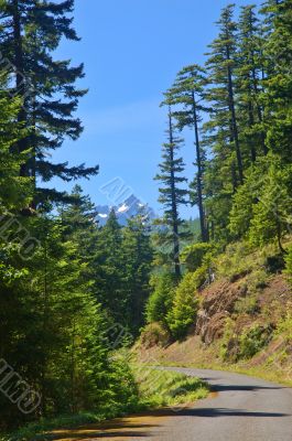 Mountain road
