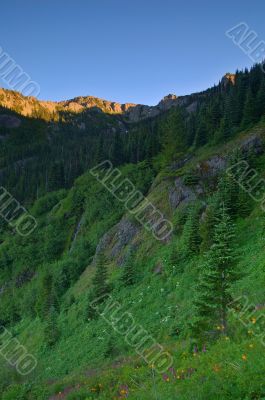 in the mountains