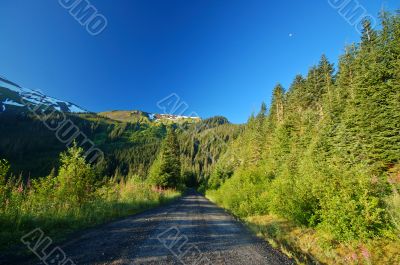 Mountain Road
