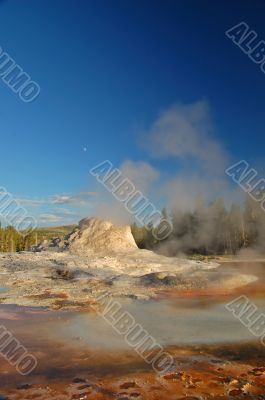 Yellowstone Geyser