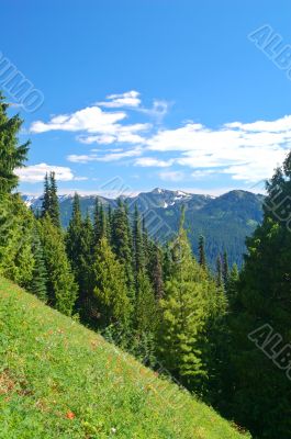 mountain landscape