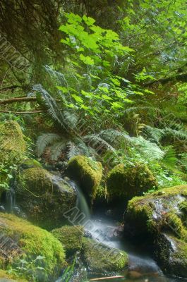 miniture waterfall