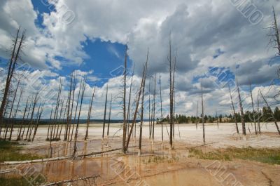 Yellowstone Geyser
