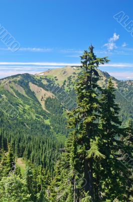 mountain landscape