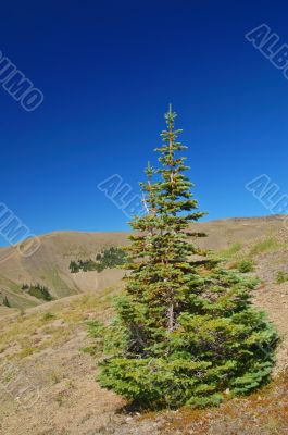 mountain landscape