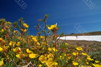 mountain landscape