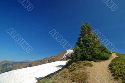 mountain landscape