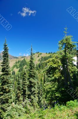 mountain landscape