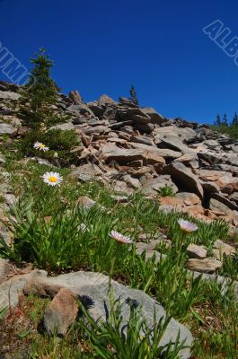 mountain landscape