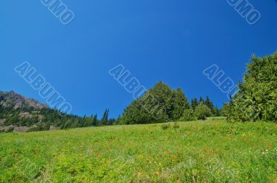 mountain landscape