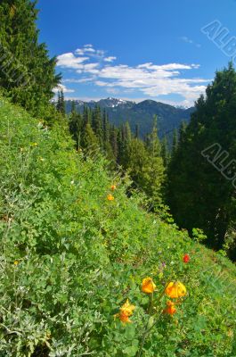 mountain landscape