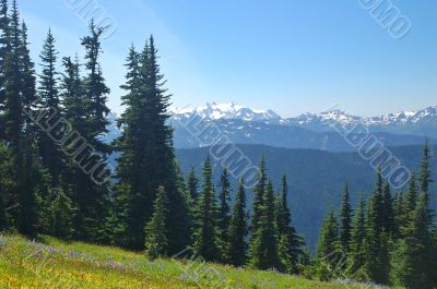 mountain landscape