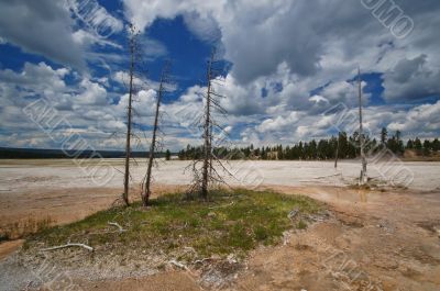 Yellowstone Geyser