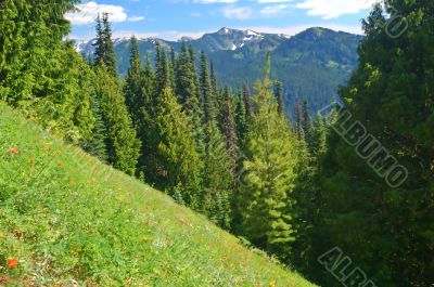 mountain landscape