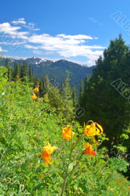 mountain landscape