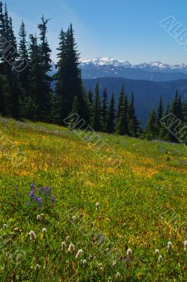 mountain landscape