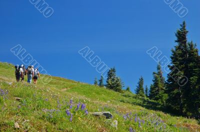 Hiking in the mountains