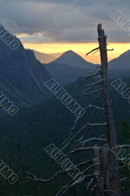 mountain landscape