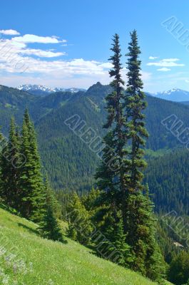 mountain landscape