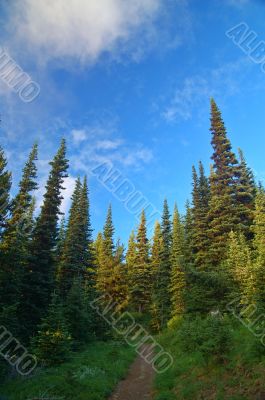 Mountain landscape