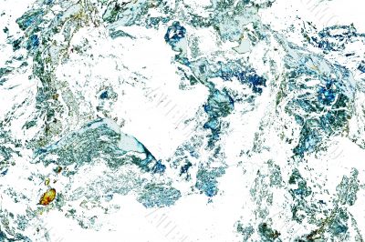 Dry wood texture abstract