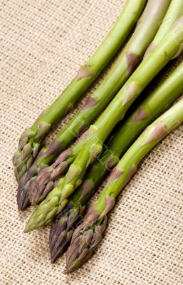 Asparagus 2