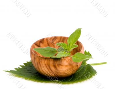 Herbs 007
