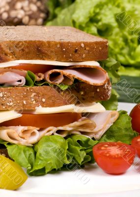 Deli Sandwich 009