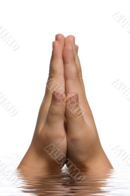 Praying Hands