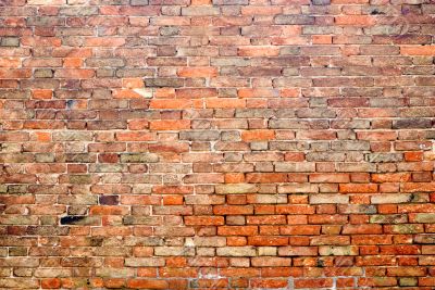 Brick Wall 5