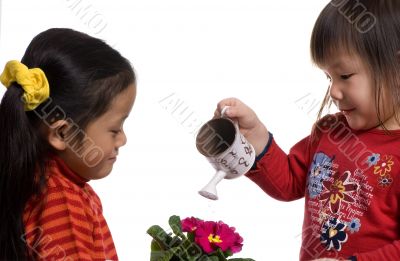 Watering a plant 2