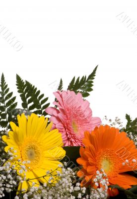 Flowers 4