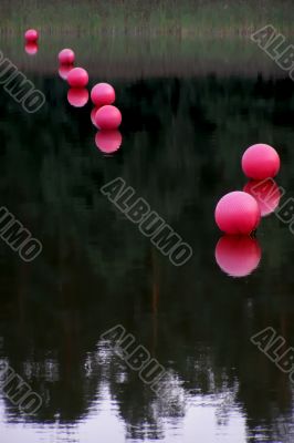 pink buoys