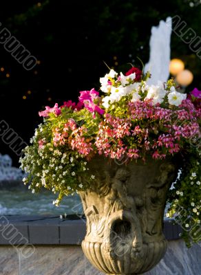 Flower Pot