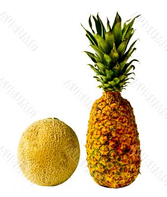 Isolated Pineapple and Cantaloupe