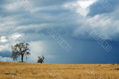 edge of the storm