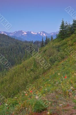 Scenic Mountain landscape