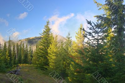 Scenic Mountain landscape