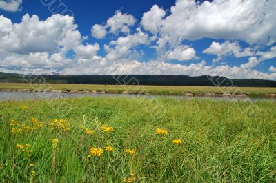 River and Elk