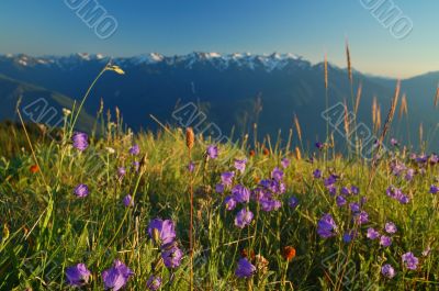 Mountain landscape