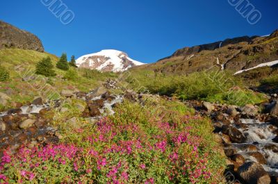 Mountain landscape